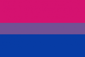 The bisexual pride flag
