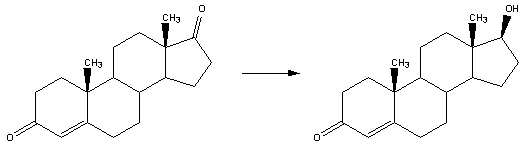 Reaction-Androstendione-Testosterone