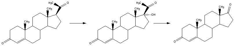 Reaction-Progesterone-Androstendione